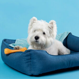 Test Product - this is a test product for order confirmation